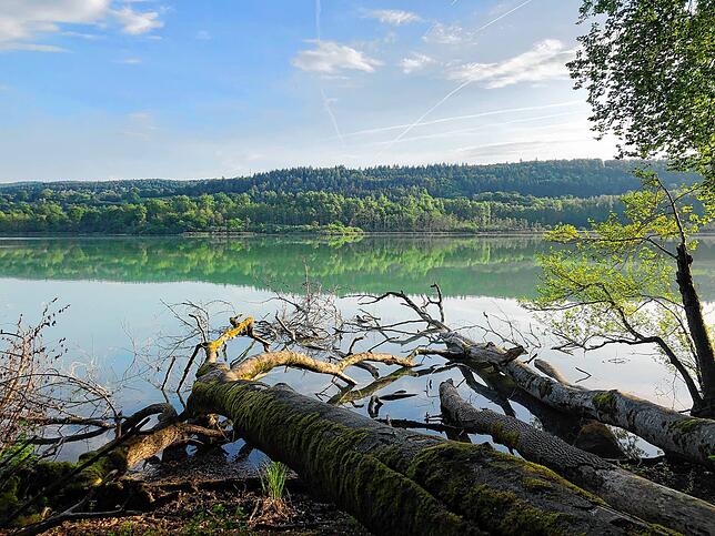 Die Natur um den Mindelsee eignet sich hervorragend für ausgedehnte Waldspaziergänge