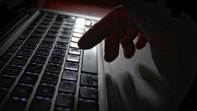 Der Anstieg im Bereich der Betrugsverfahren ist laut Staatsanwaltschaft Ravensburg in erster Linie auf das Internet zurückzuführen.
