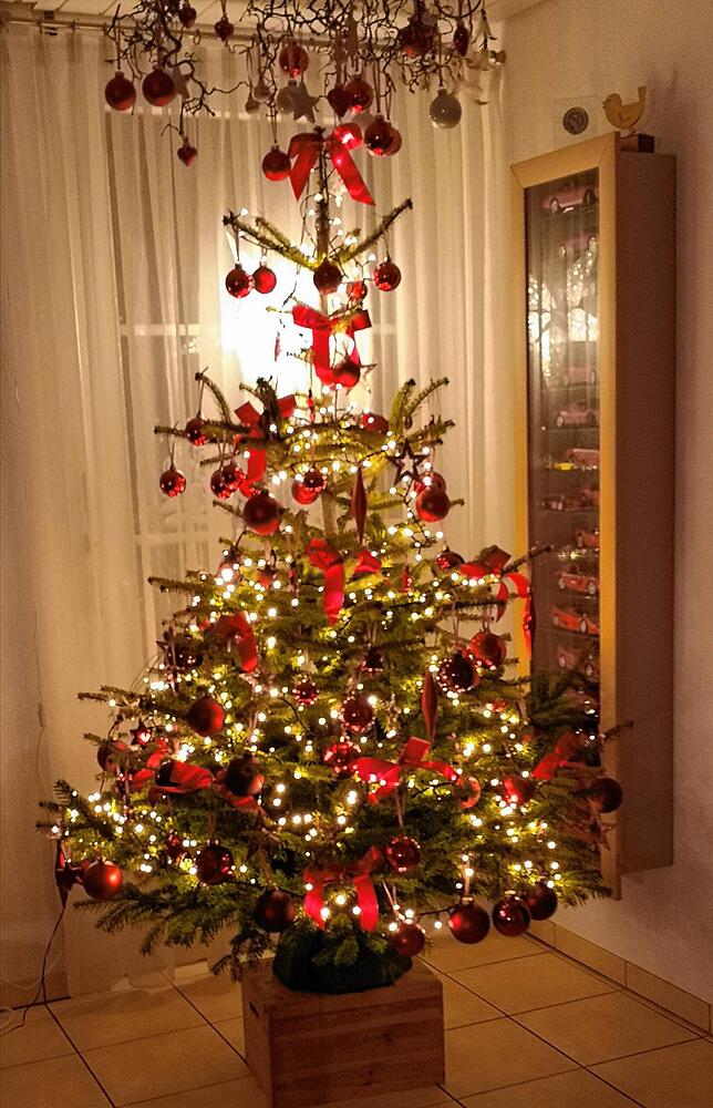 Der Baum von Heidi und Wolfgang Schmidt in Oberlauchringen.