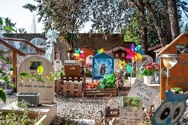 Mehr als 1000 Tiere wurden in der &bdquo;Casa Rosa&ldquo; über die Jahre bestattet &ndash; jedes Grab auf dem Friedhof im ...