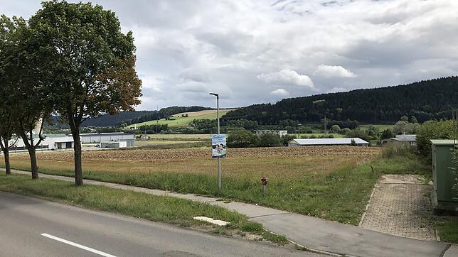 Im westlich vom Heimfriedhof gelegenen Teil des Geisinger Gewerbegebiets Danuvia81 soll ein Hotel-Neubau realisiert werden. Ein ...