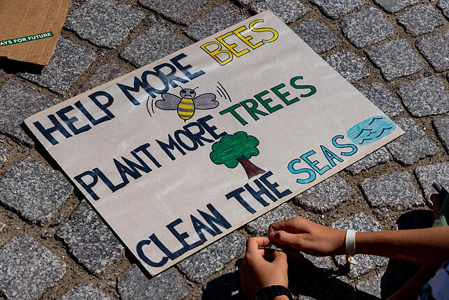 Helft den Bienen, pflanzt mehr Bäume und macht die Meere sauber: Ein &bdquo;Fridays for Future&ldquo;-Plakat Anfang August, anlässlich ...