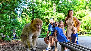 Familie Gimpl beobachtet einen Berberaffen auf einem Geländer. Nun im Herbst kraxeln die Primaten nicht nur gern, sie rascheln auch im ...