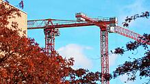 Zwei Baukräne sind am Himmel hinter herbstlichen Bäumen neben einem Gebäude zu sehen. Seit kurzem steigt die Bautätigkeit wieder, nach ...