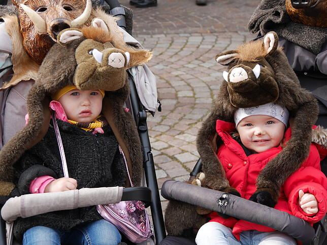Zwei völlig ungefährliche, knuffige kleine Rippolinger Wildsäue.