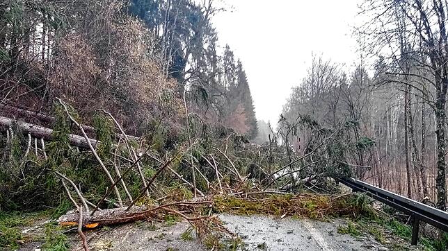 Bäume krachten, von Sturmtief Sabine geworfen, auf die L171 zwischen Münchingen und Ewattingen.