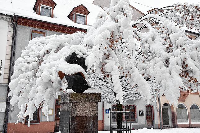 In der Bickenstraße beugt sich der Baum unter der Schneelast, die Büste von Sebastian-Kneipp ist mit einer dicken Schneeschicht umhüllt.