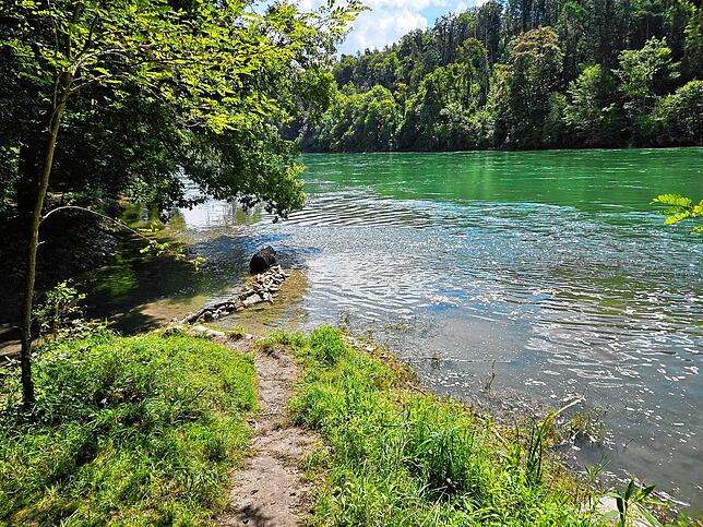Die Badestelle am Hochrhein, an der die sechs Menschen ins Wasser gingen.