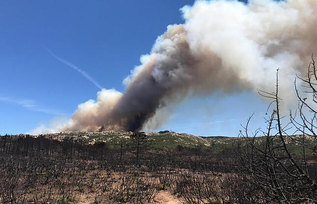 Vor einer Fläche abgebrannter Sträucher steigen Rauchwolken eines Waldbrandes, wenige Kilometer nordwestlich der Hafenstadt Bonifacio ...