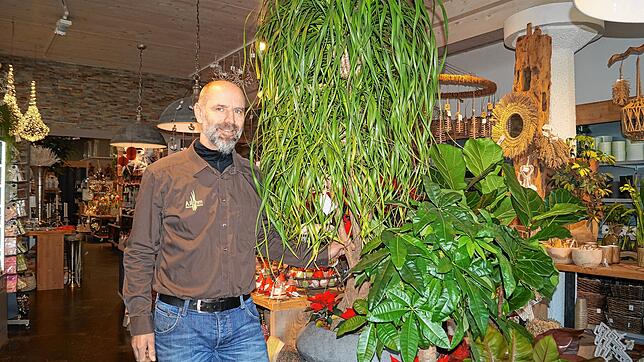 Auf das Gestalten mit Pflanzen wie hier mit einem Elefantenfuß in seinem Häfler Blumengeschäft legt Floristmeister Axel Röhm großen ...