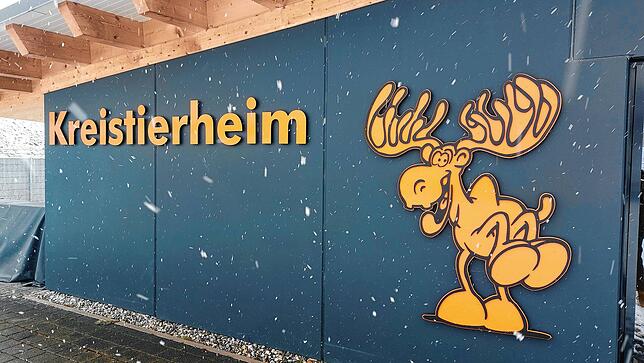 Das Kreistierheim in Donaueschingen ist räumlich, personell und finanziell am Limit. Die Tierschützer kämpfen derzeit mit zahlreichen ...