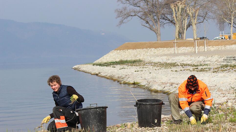 Ronja Hegner (li.) und Yvonne Weber von der Stadtgärtnerei Überlingen beim Unkrautzupfen im Uferpark, der 2020 öffnet. Bild: Stefan Hilser