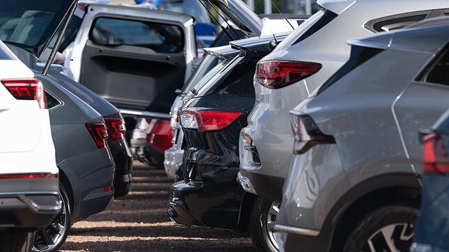 Nicht Tesla, nicht VW - ein günstiges Auto hat die Nase vorn beim Rennen um Europas meistverkauftes Auto.