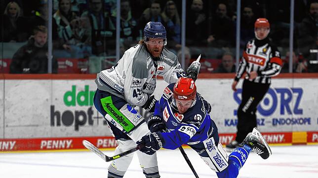 Bild : Unsere Bildergalerie vom sechsten Viertelfinalspiel der Wild Wings gegen die Straubing Tigers