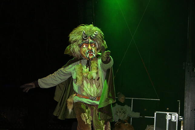 Bild 6: Bildergalerie zum Ringtreffen des Alemannischen Narrenrings in Friedrichshafen