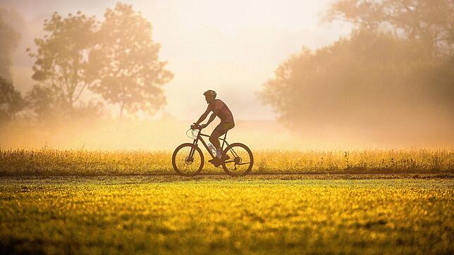 Fahrradfahren ist ein sehr beliebtes Hobby in Deutschland. Zu einer der beliebtesten Touren zählt der Bodensee-Radweg, der sich super ...