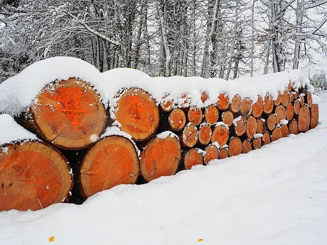 Bild 11: So schön ist der Schnee in Bad Säckingen und auf dem Hotzenwald! Wir haben die Bilder