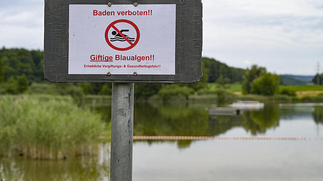 Still ruht der See: Im Böhringer See darf bis auf weiteres nicht mehr gebadet werden. Grund ist eine erneute Blaualgenblüte, die ein ...