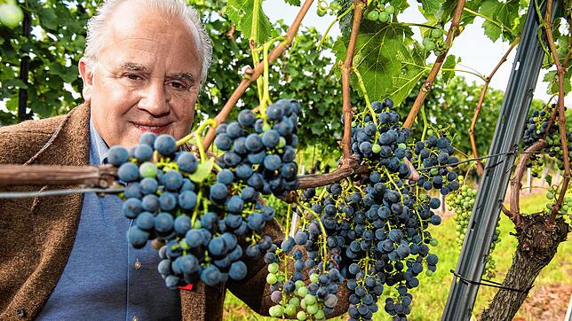 Fritz Keller genießt einen exzellenten Ruf: als Winzer (Bild), Hotelier, Sterne-Gastronom und Präsident des Bundesligaklubs SC Freiburg. ...