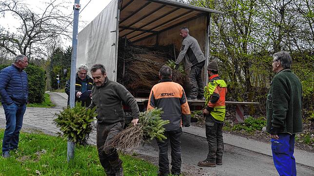 Voll beladener Lastwagen: Mehr als 6000 junge Bäume galt es auszuladen. Bild: Christiane Sahli