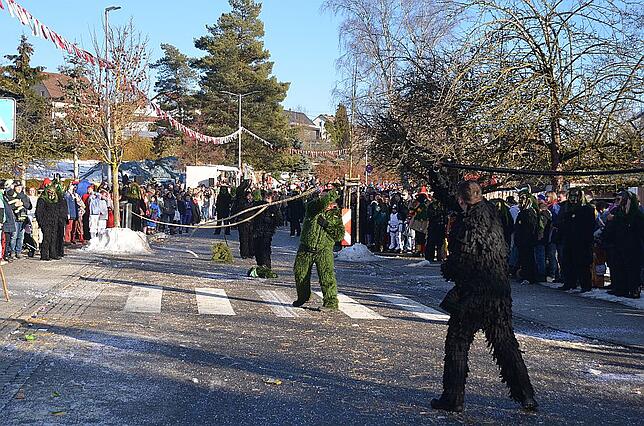 Bild 16: Bilder vom Narrenumzug in Weigheim 2019