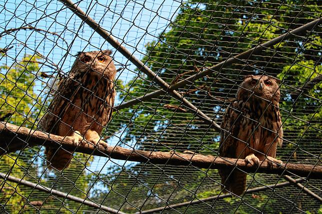 Bild 19: SÜDKURIER öffnet Türen im Waldshuter Wildgehege &ndash; und wir haben die Bilder
