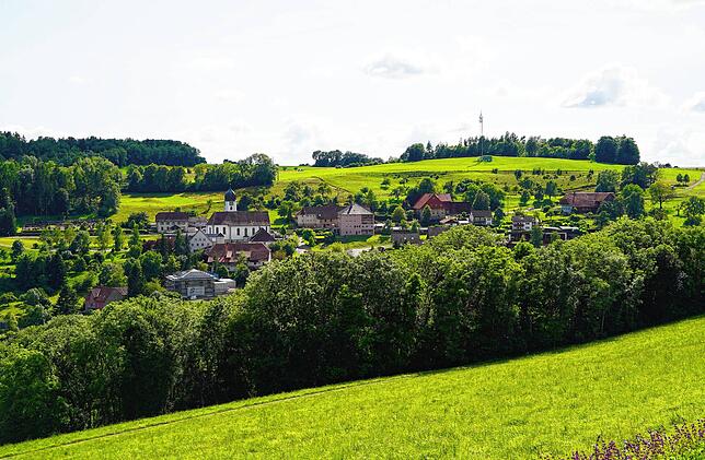 Panoramabild des Ortsteils Waldkrich.