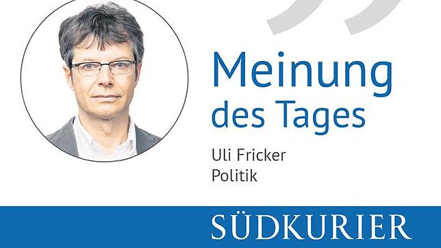 Uli Fricker, Politik