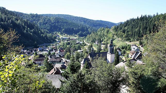 So wie auf diesem Bild könnte der Blickwinkel einer neuen Webcam vom Standort Kälberweid auf Todtmoos aussehen. Dies ist nur einer von ...