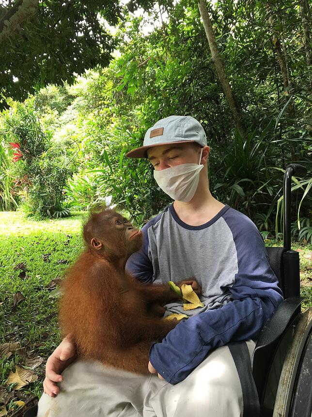 Bild 1: Mit dem Rollstuhl in den Dschungel: Wie Benni Over die Orang-Utans retten will