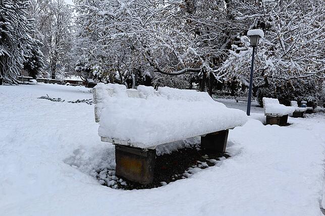 Bild 20: So schön ist der Schnee in Bad Säckingen und auf dem Hotzenwald! Wir haben die Bilder
