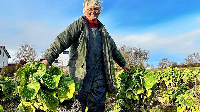 Elisabeth Glatz inmitten ihrer Rosenkohl-Stauden. Etwa alle zwei Tage holt sie auf dem Feld Nachschub für den Hofladen.