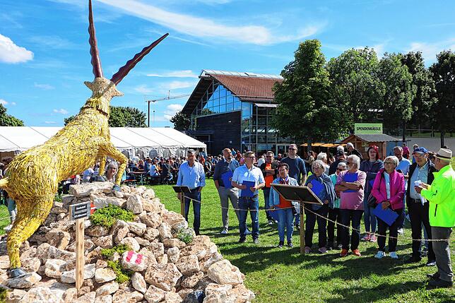 Die Männer der AH des Sportverein Schwenningen schufen mit dem Alpen-Steinbock ein großartiges Werk aus der Tierwelt. Das Strohtier ...