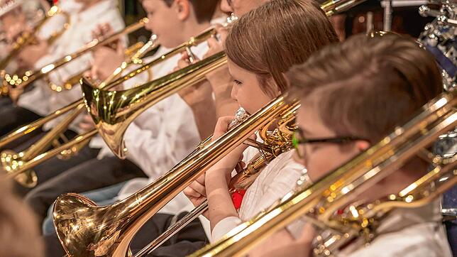 Die Musikschule Radolfzell bietet ein breites Angebot an, viele Kinder in der Stadt nehmen am Musikunterricht teil. Dies soll bald ...