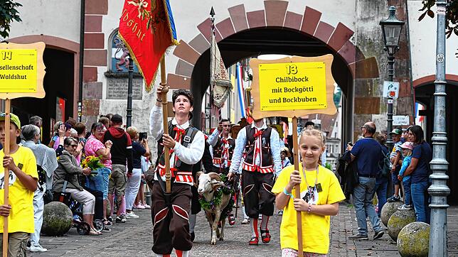 Bild : Chilbi-Festumzug bietet zahlreiche Hingucker (Teil 2)