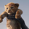 Der kleine Simba wird den Bewohnern der Savanne als zukünftiger König präsentiert.