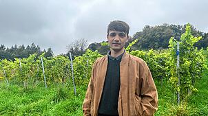 Winzer Severin Denzel nach der Ernte auf dem Weinberg in Friedingen. Zum ersten Mal seit über 100 Jahren wurde hier wieder Wein ...