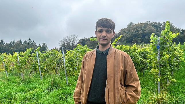Winzer Severin Denzel nach der Ernte auf dem Weinberg in Friedingen. Zum ersten Mal seit über 100 Jahren wurde hier wieder Wein ...