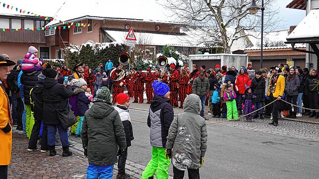 Bild : Das Symbol der Fasnet, der riesige 22-Meter-Baum, steht