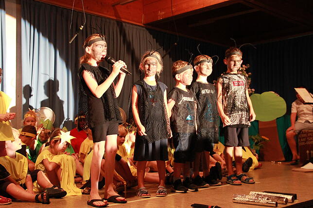 Rund 60 Kinder verzauberten die Besucher des Musicals im Pfarrheim in Laufenburg.