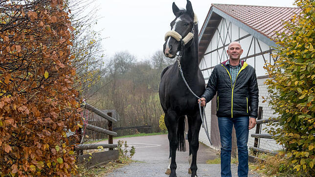 Frank Angst auf dem Hofgut "Meisterhof" zusammen mit der fünf Jahre alten Nachwuchsstute Malala aus eigener Zucht.