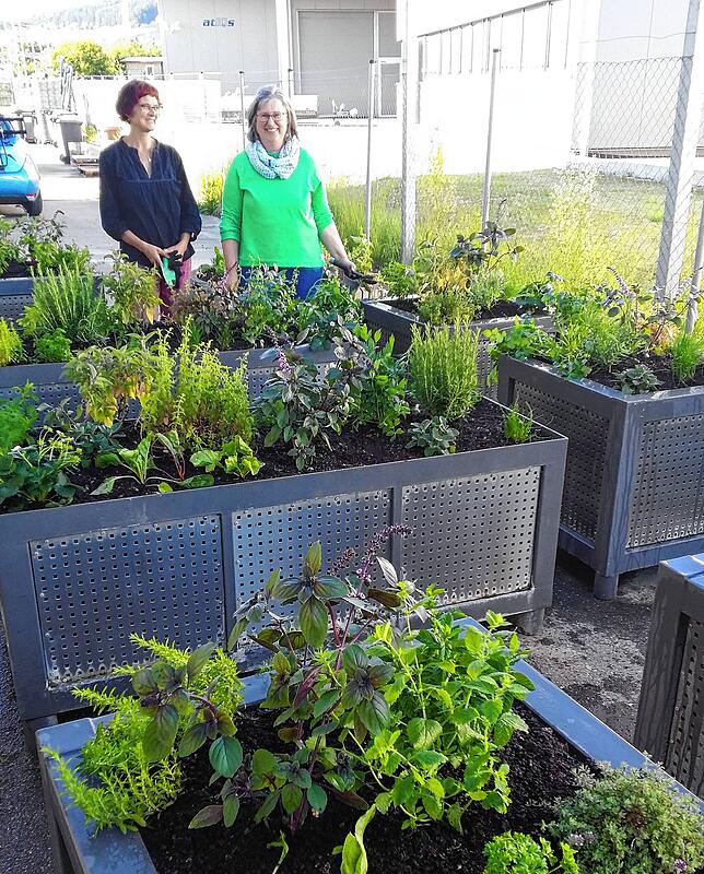 Nathalie Beck und Birgit Kohler (von links) von der AG Biodiversität helfen in ihrer Freizeit mit, zum Beispiel beim Einsetzen der ...