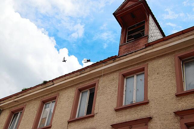 Unter dem Dach des Gebäudes nisten zahllose Tauben. Sie fliegen durch die offene Dachgaupe ein- und aus.