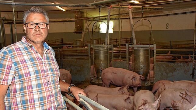 Landwirt Hubert Einholz mästet Schweine. Weil bei einem Wildschwein in Brandenburg die afrikanische Schweinepest nachgewiesen wurde, ...