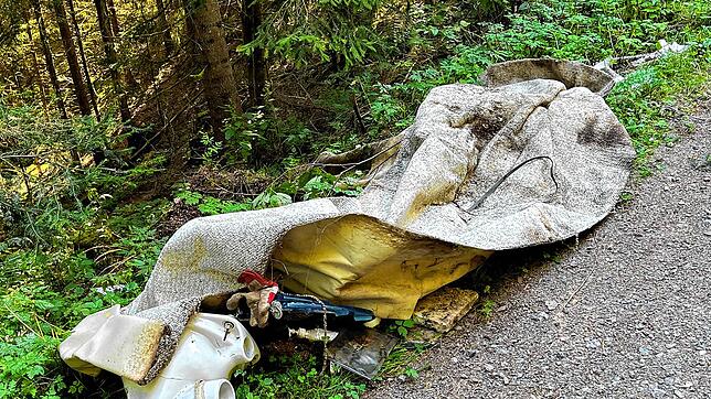 Welch ein Aufwand, da saniert jemand sein Klo, fährt alles in einem Auto in den Wald beim Meleck im Germanswald, kippt es in den grünen ...