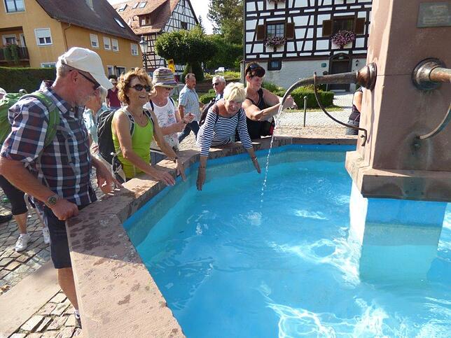 Bild 15: Mit dem SÜDKURIER durch die Apfelplantagen: Bilder der Wanderung