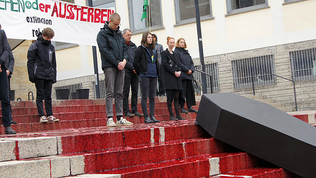 Mit zehn Eimern Kunstblut auf der Rathaustreppe und einem schwarzen Sarg aus Sperrholz haben Aktivisten gegen das Artensterben demonstriert.