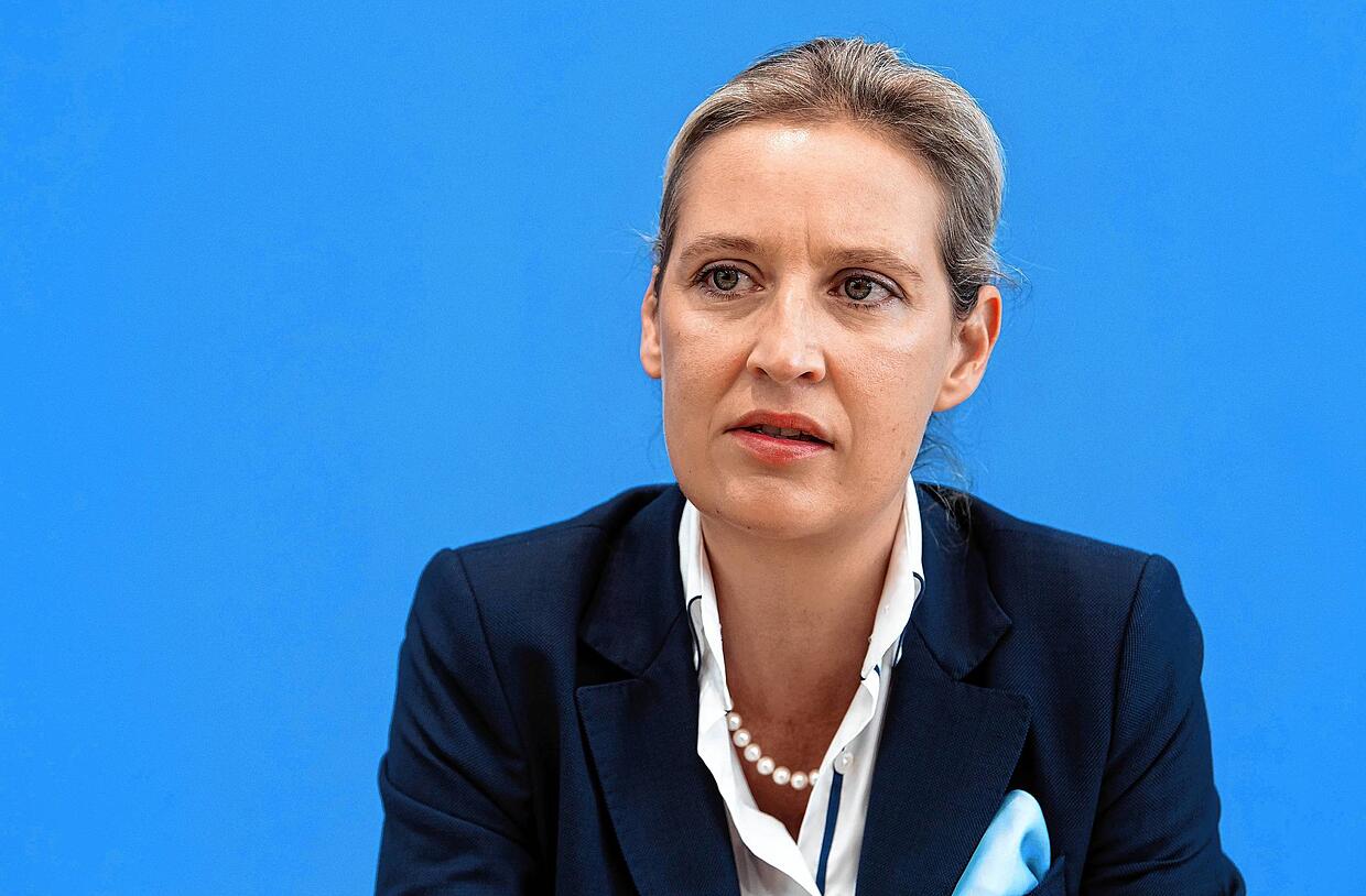 AfD: Machtkampf in der AfD: Darum muss Alice Weidel um ihre Position in der  Partei bangen | SÜDKURIER