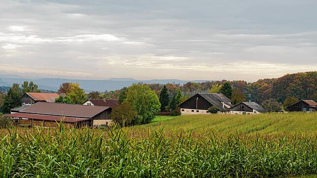 Dem Landwirt dieses Hofes im östlichen Landkreis Waldshut werden Verstöße gegen den Tierschutz vorgeworfen. Im SÜDKURIER nimmt er dazu ...