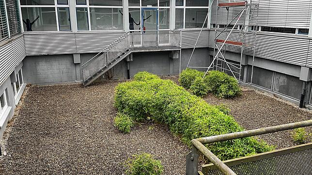 Auf dieser Fläche soll bei den Projekttagen im Juli ein Schulgarten entstehen und Hochbeete gebaut werden.